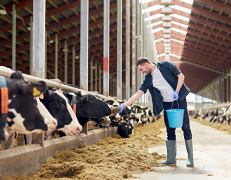 CNIEL – Interprofession du lait