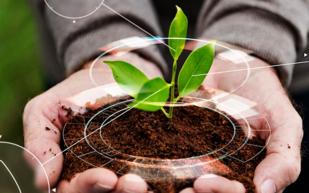 Ça bouillonne : One Health fait-elle bouger l’agroécologie ?